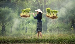 Vietnam Retiros y Viajes