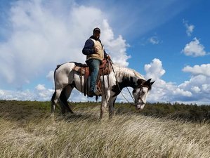 4 Days American Style Ranch Adventure and Horse Riding Holiday in Slöinge, Sweden