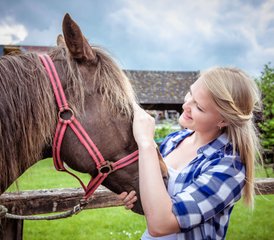 3 Tage Westernreitkurs: Reiten, Vertrauen und Bodenarbeit in Dermbach, Deutschland - Photo 4