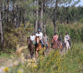 8 Day Flexible Horseback Riding Holiday in Mimizan, Landes - Photo 3