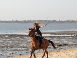 2 Day Private Horseback Riding Holiday on the Beach in Gaio-Rosario, Portugal