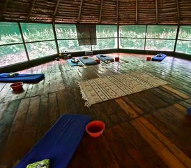 7 jours en stage de yoga, méditation et ayahuasca dans la forêt amazonienne du Pérou - Photo 2