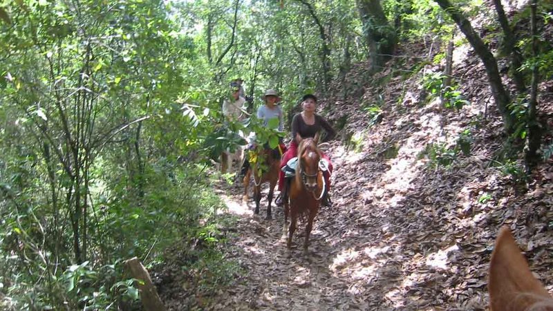 3 Day Adventurous Tailor-Made Horse Riding in Boyacá 