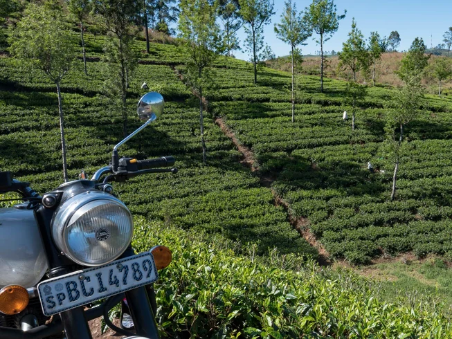 13 Day Royal Enfield Guided Motorcycle Tour in Sri Lanka: Ancient Kingdoms and the North