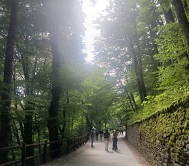 8 Tage Yoga Retreat mit Heiligen Wäldern in Assisi Gubbio und La Verna, Italien - Photo 5