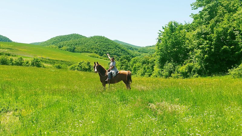 8 Day Terra Serbia Horse Riding Tour