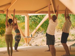 7 Day 40-Hour Spinal Health and Backbending Yoga Teacher Training in Coimbra, Portugal
