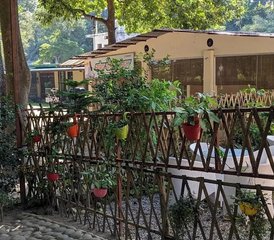 3 Tage Klangheilung, Yoga und Meditation Retreat in Rishikesh, Indien - Photo 4