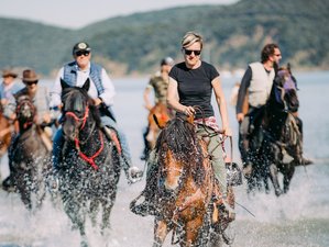 6 Day Tuscany Horseback Riding Adventure: Cala Violina, Wine Tasting, and Punta Ala Beach in Italy