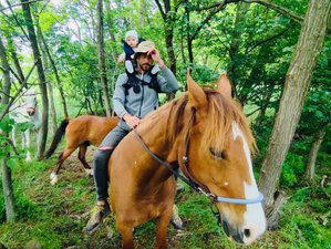 8 Day Terra Serbia Horse Riding Tour