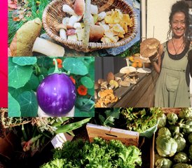 10 Day Private Raw Vegan Plant-Based Training in Cassagnoles, South France - Photo 4