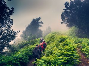 8 Day Hiking and Relaxation with Yoga Wellness Retreat in the north of Tenerife
