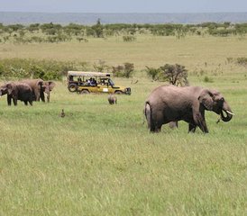 5 Tage Beste Samburu- und Aberdare-Safari in Kenia - Photo 2