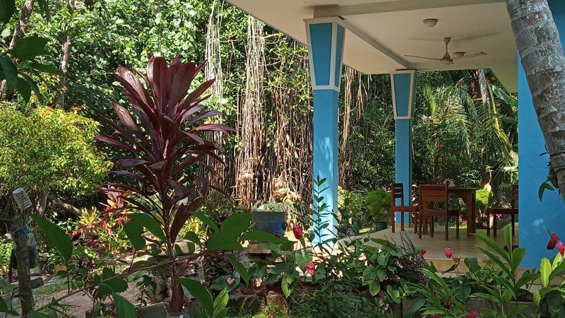 5 Day Yoga Retreat in Beruwala, Kalutara, Sri Lanka