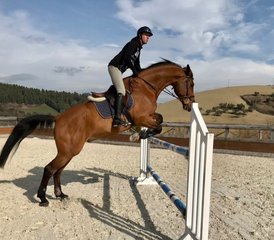 4 Day Long Weekend With Jumping and Flatwork Training Horse Riding Holiday in Fermo, Italy - Photo 5