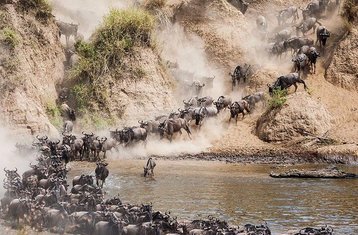 2 Day Maasai Mara Luxury Safari Tour in Kenya