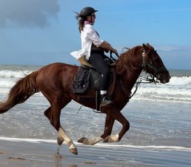 2 Day Berber Villages and Sand Dunes Exploring Horseback Riding Holiday to South Essaouira, Morocco - Photo 3