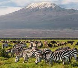 4-Daagse Groepssafari in Maasai Mara en Lake Nakuru, Kenia - Photo 5