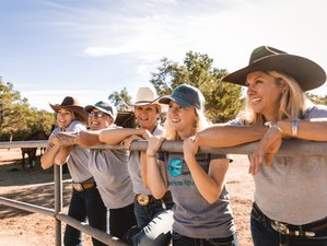 8 Day Volunteer Horse Riding Vacation in New Mexico
