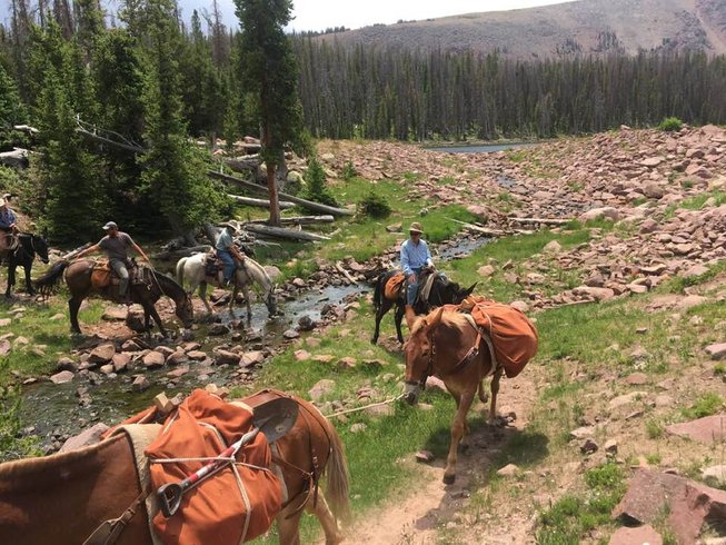 horse pack trips in utah