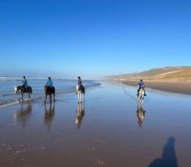 08 Tage Reittraining und Ranchurlaub in Sidi Boulfdail, Tiznit, Marokko - Photo 1