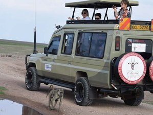 8 Day Classic Safari Exploration in Kenya with Chimpanzee Sanctuary Visit