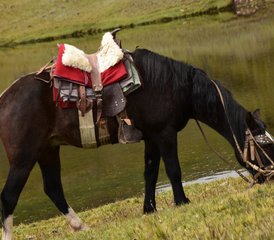 73 Day Off-The-Beaten-Path Horseback Riding Tour to Machu Picchu in Peru - Photo 1