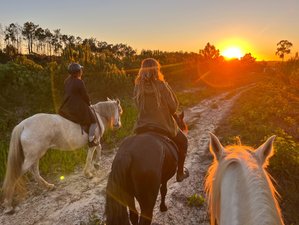 7 Tage Reiturlaub an der Algarve, Portugal mit Strandritt, Küstenritten und Quinta-Aufenthalt