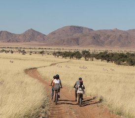 6 días de safari privado en Etosha, Swakopmund y Sossusvlei con excursión por el desierto en Namibia - Photo 2