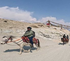 16 Tage Reittour mit Trekking ins Upper Mustang in Nepal - Photo 5