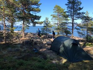 2 Day Hiking and Camping Holiday in Tyresta National Park, Stockholm, Sweden