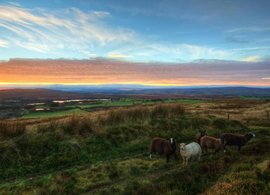 Irlande du Nord Retraites et Voyages