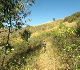 21 días de profesorado de yoga de 200 horas con ayurveda y terapéutica del yoga - Bhakti Yoga Ashram, Perú - Photo 3