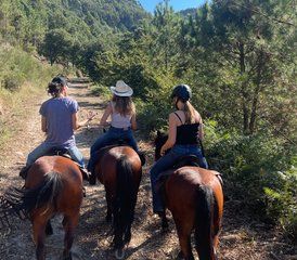7 Day Galicia Horse Riding Experience: Ride in the Land of Wild Horses in Baiona, Spain - Photo 5