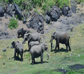 3 Tage Kurze Safari im Amboseli Nationalpark, Kenia - Photo 3