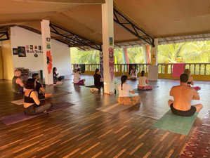 12 Day 100-Hour Yoga Teacher Training Goa, India