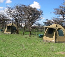 2 jours en stage de safari en camping à Tarangire et au cratère du Ngorongoro, Tanzanie - Photo 5
