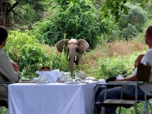Planning: Luxury Safaris