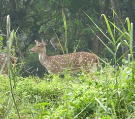 8 jours en stage de visites et safari au Népal - Photo 2