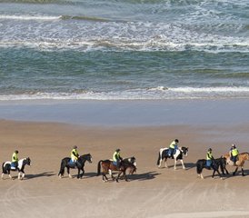 7 jours en stage d’équitation Signature châteaux, Chaussée des Géants, côte et campagne en Irlande du Nord, Royaume - Photo 4