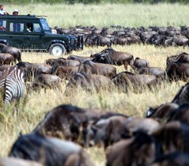 6 jours en stage de safari en Tanzanie dans les parcs nationaux de Lake Manyara, Tarangire, Ngorongoro et Serengeti - Photo 4