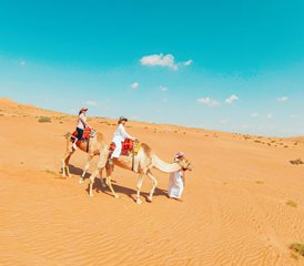 8 jours de séjour Yoga et Découverte en Oman, entre Mer, Montagnes et Désert  - Photo 5