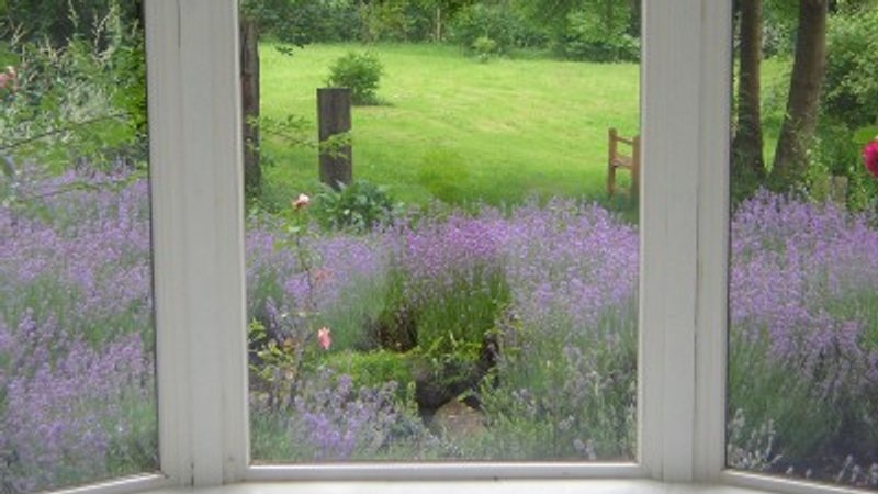  3 Tage Meditations-Retreat: Die Kraft der Stille Neo-Vipassana und Yoga in Witzenhausen