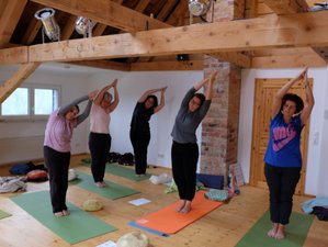 4 Tage Yin-Yoga Wochenende Retreat im Schwarzwald, Deutschland