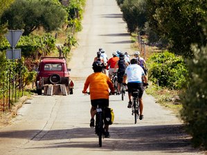 6 Day The Dalmatian Coast Classic Guided Cycling Tour in Croatia