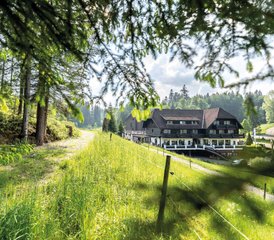 3 jours en retraite de yoga en semaine dans un bel hôtel bien-être en Forêt-Noire, Allemagne - Photo 2