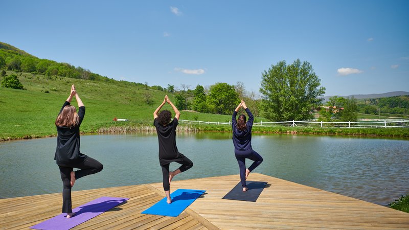 4 Days Wellness and Rejuvenation Therapy Health Retreat in Virginia, USA