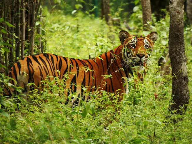 8 Day Thrill Junkies Paradise Motorcycle Tour in Nepal photo 10