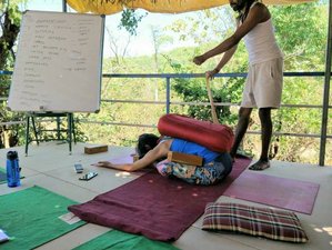 25 Day 200-Hour Therapeutic Yoga Teacher Training in Dharamshala