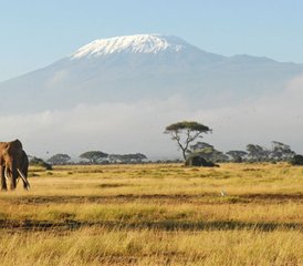 10 jours en stage de culture africaine et safari animalier au Kenya et en Tanzanie : voir le Serengeti et le Maasai Mara - Photo 5